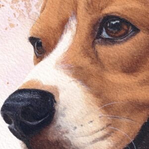 Aquarelle chien Beagle "Échappée Belle", par Morgane Bouiller