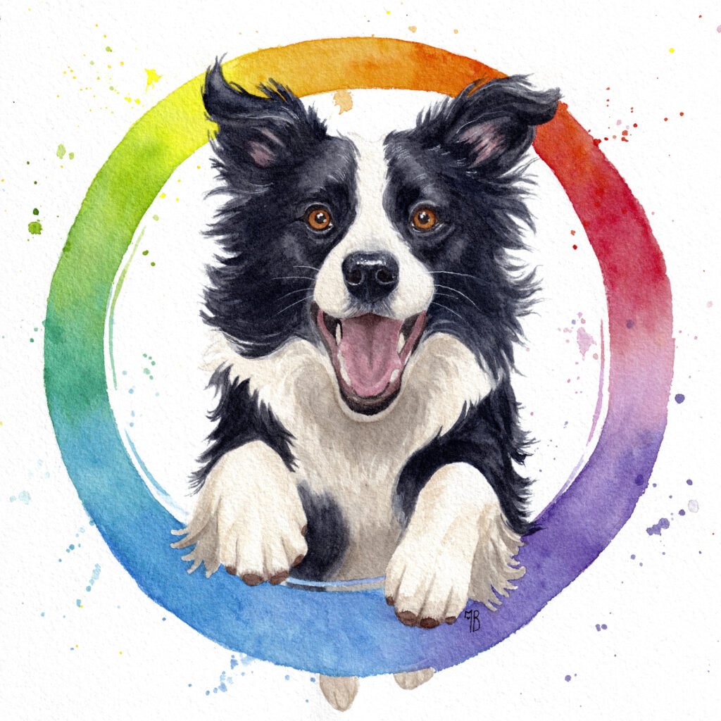 chien à l'aquarelle sautant dans un cercle multicolore, peinture aquarelle