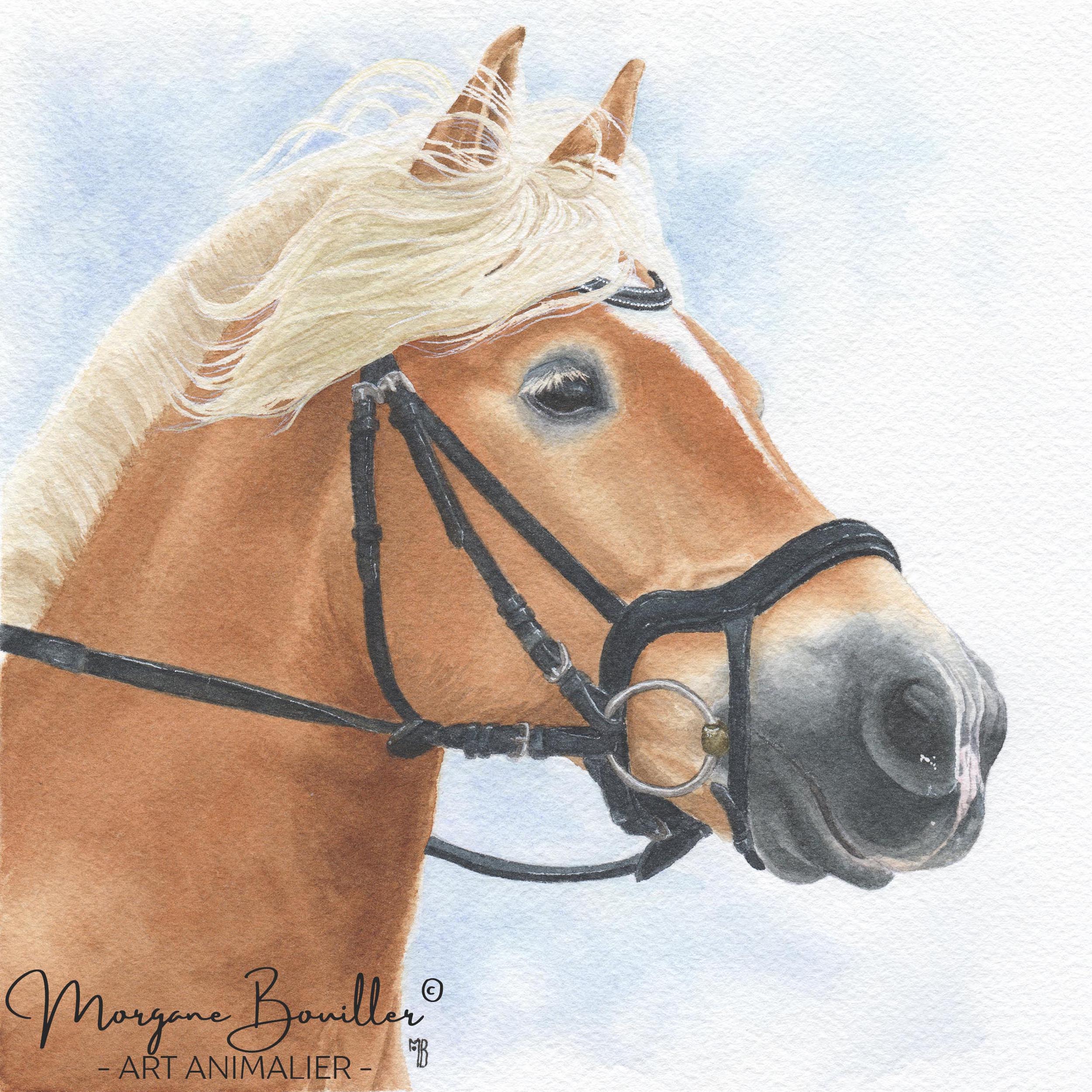 peinture à l'aquarelle fine d'un cheval Haflinger