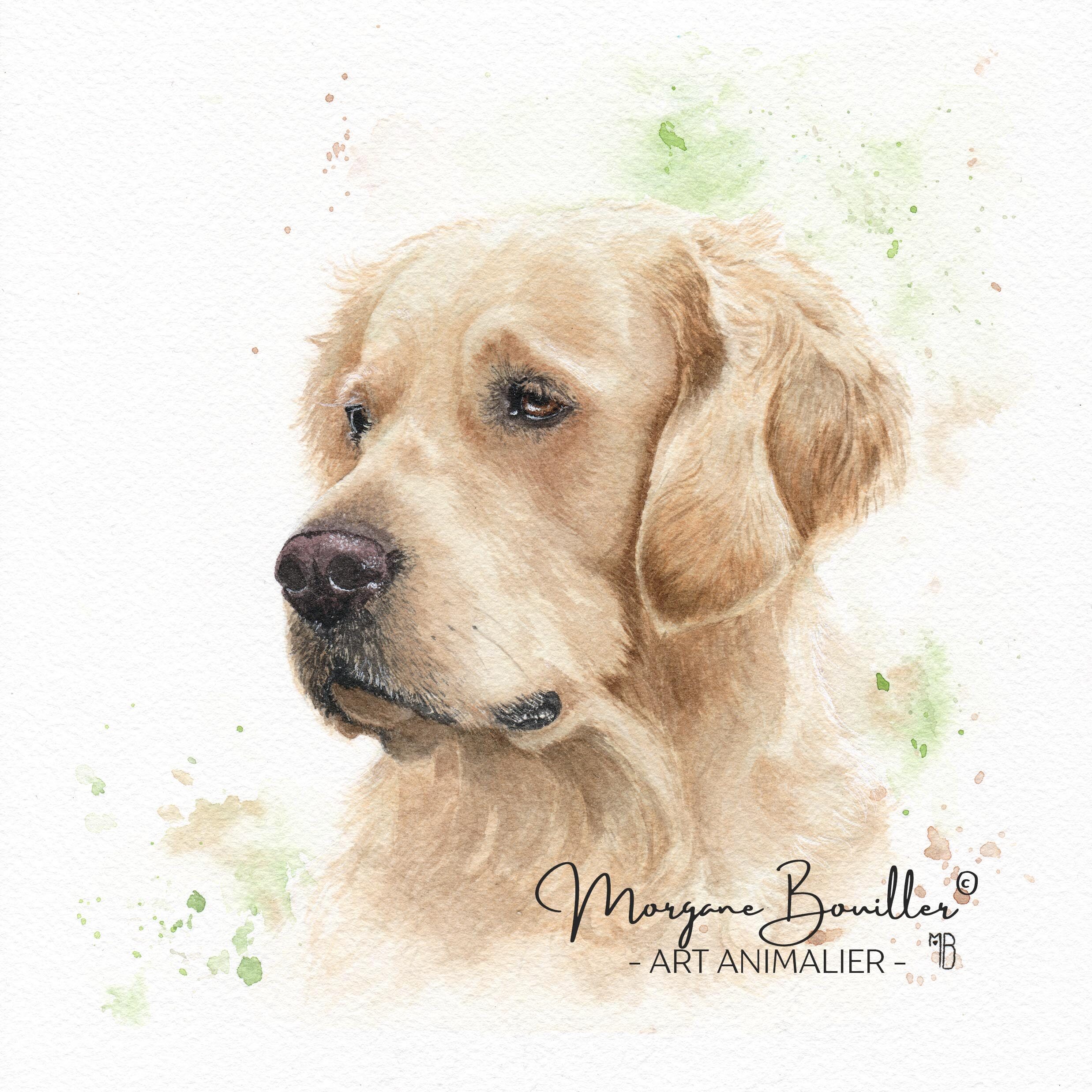 Peinture fine à l'aquarelle d'un chien Golden Retriever