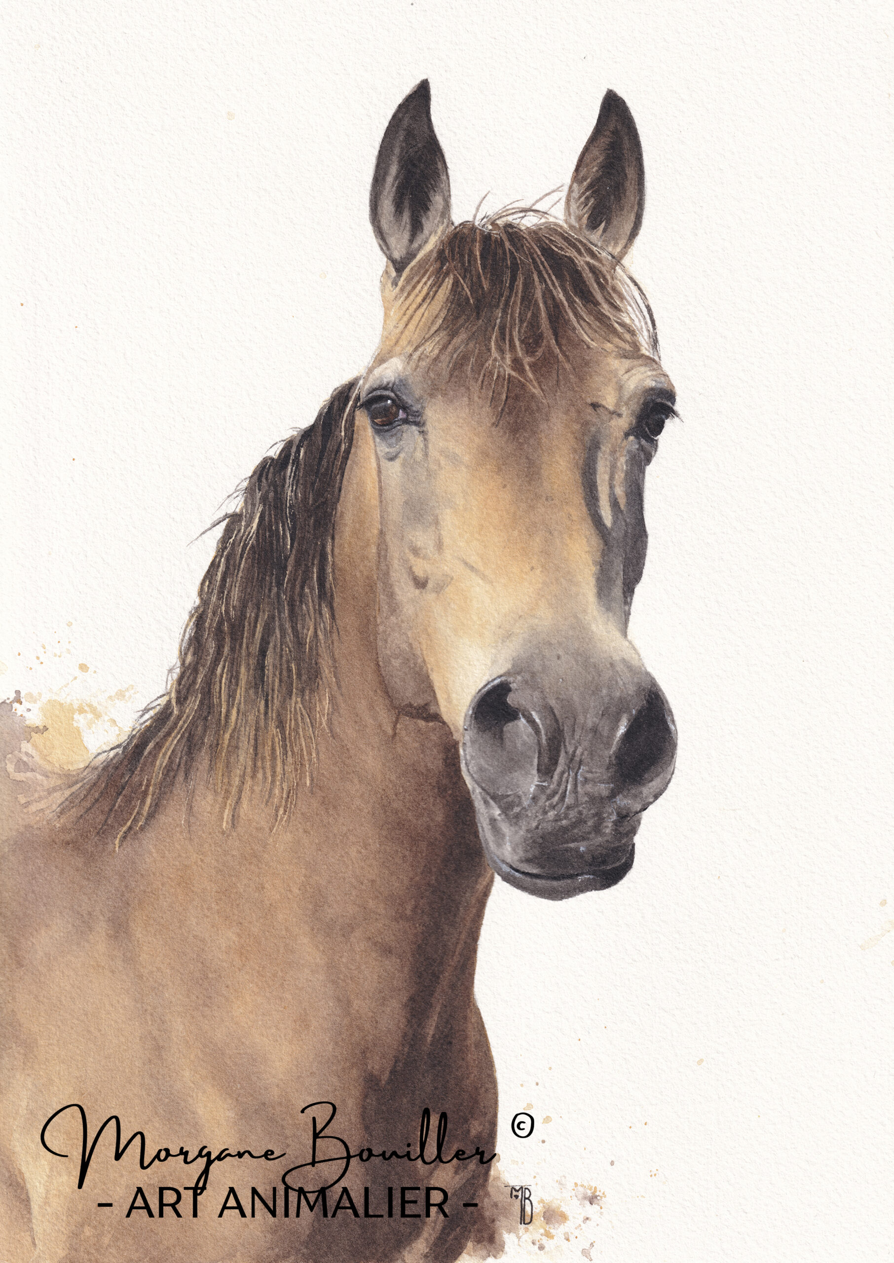 Peinture fine à l'aquarelle d'un cheval isabelle