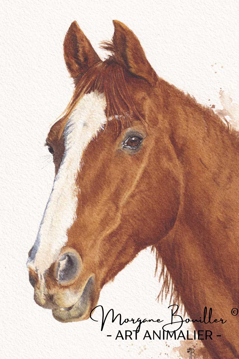 portrait cheval aquarelle réaliste terminé – Gamme ESSENCE – peinture animalière personnalisée