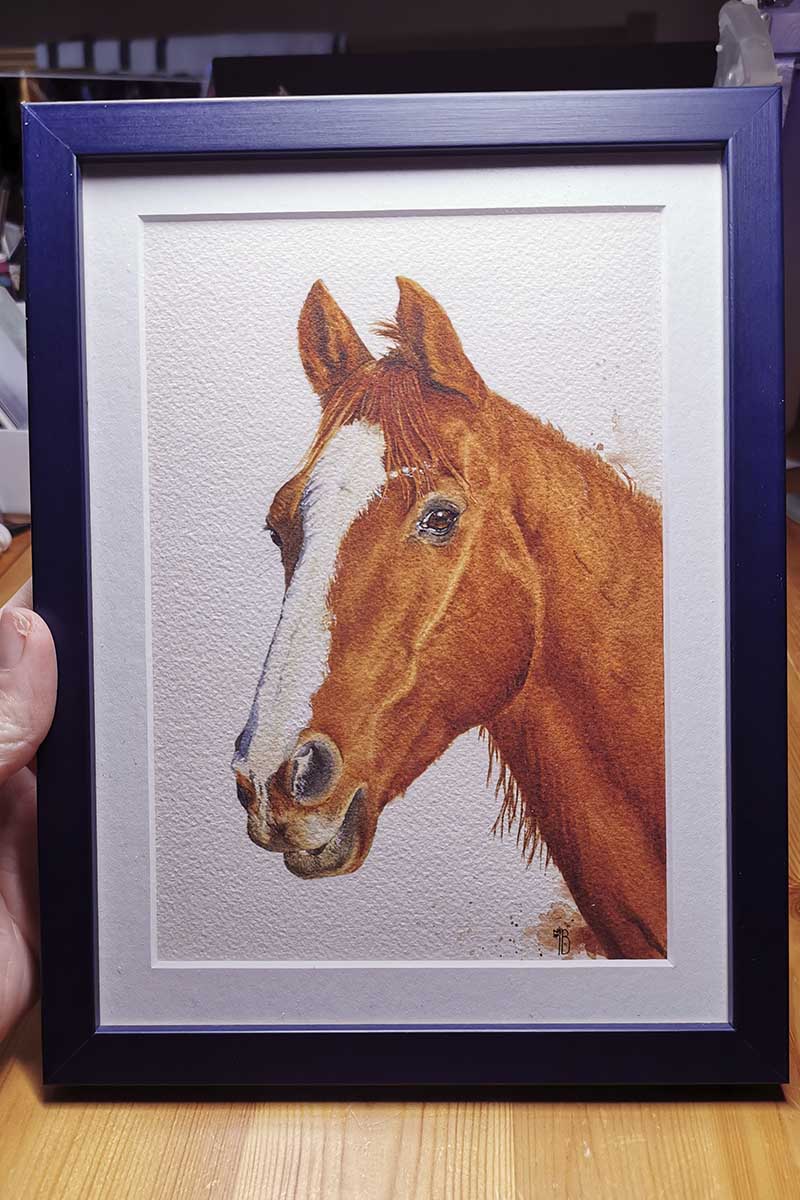 portrait cheval aquarelle encadré – tableau animalier personnalisé prêt à offrir