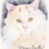 Poupoune Peinture fine à l'aquarelle d'un chat blanc