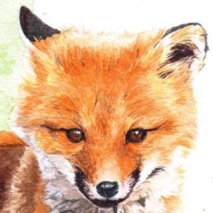 Aquarelle renardeau "Tendre innocence" par Morgane Bouiller