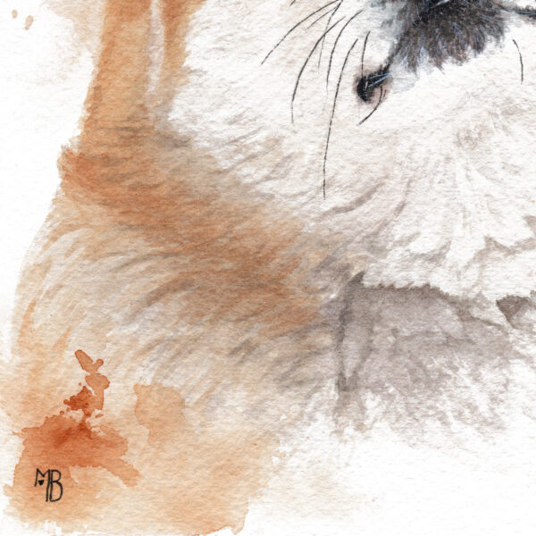 Kizuna Inu Zoom Kizuna Inu – Œuvre originale à l’aquarell