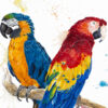 ApisMel_zoom1 copie Zoom sur peinture de perroquets Aras par Morgane Bouiller