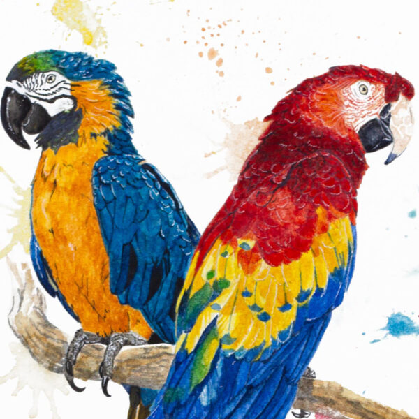 ApisMel_zoom1 copie Zoom sur peinture de perroquets Aras par Morgane Bouiller