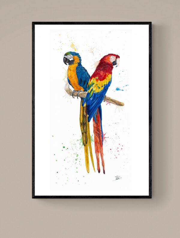 Aras, couple d'oiseaux – Tirage d'Art