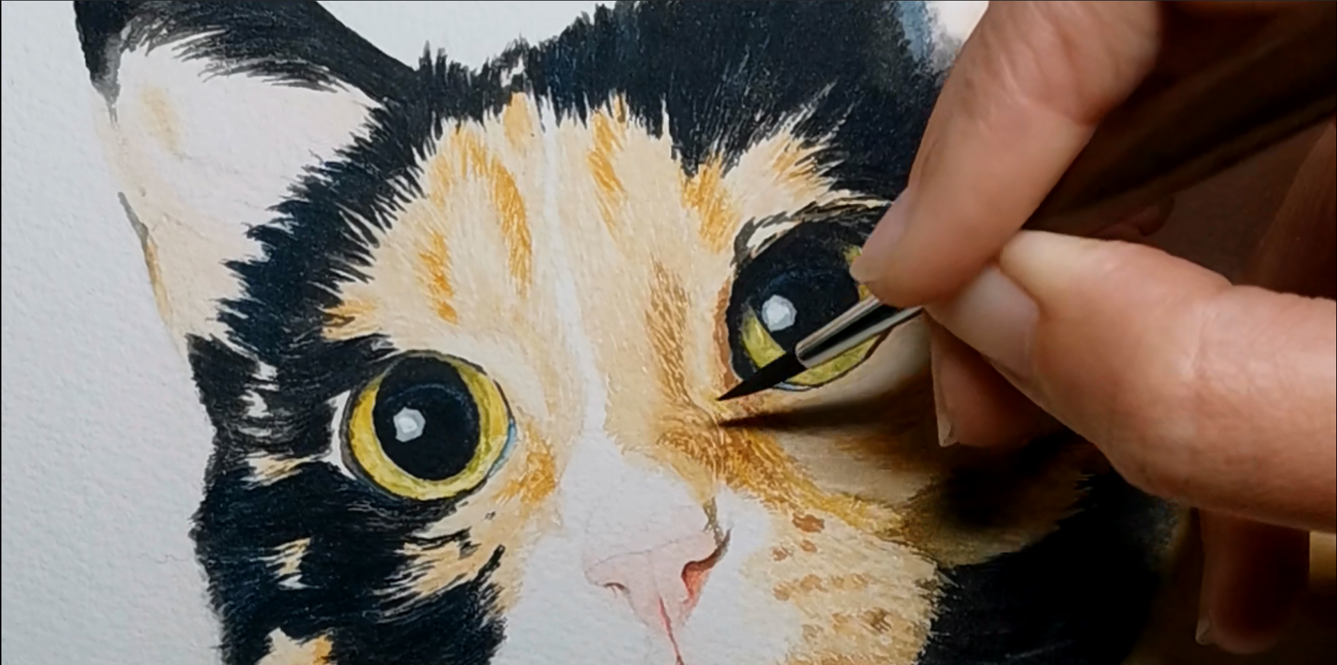 peinture de chat en cours