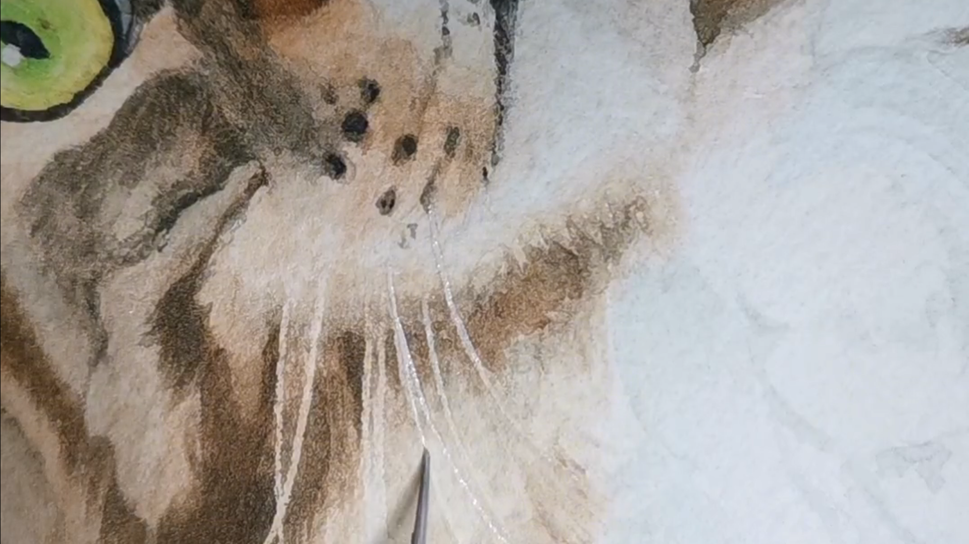 peinture de chat en cours 