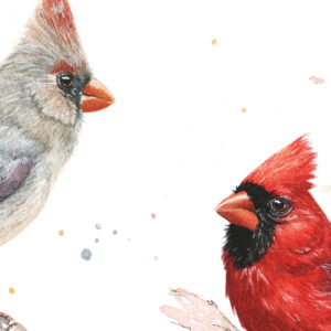 aquarelle cardinaux - oeuvre originale par Morgane Bouiller