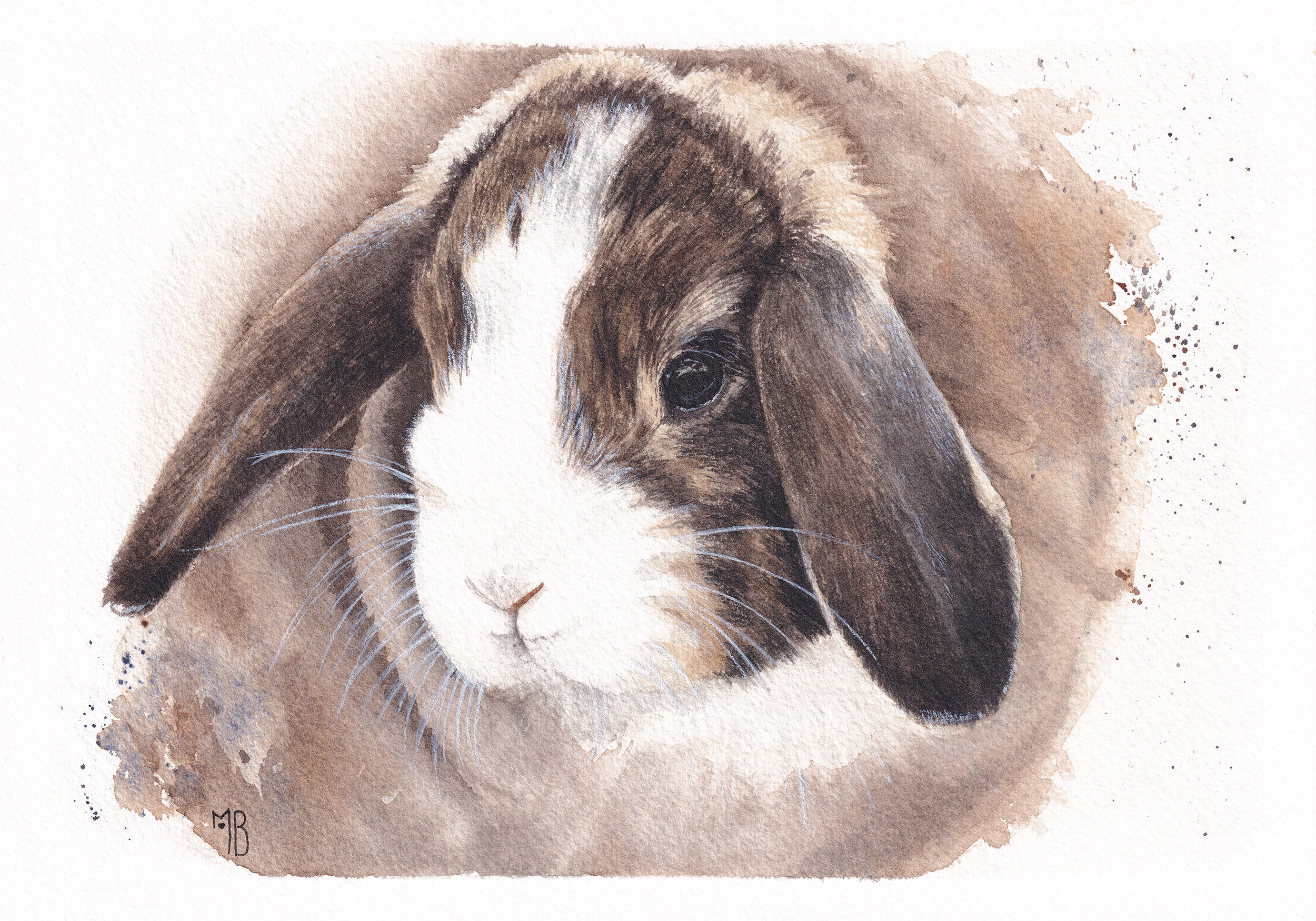 Peinture fine à l'aquarelle d'un chat blanc