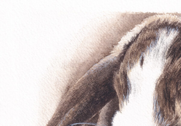 Délicate Attention zoom Délicate Attention – Œuvre originale unique à l’aquarelle