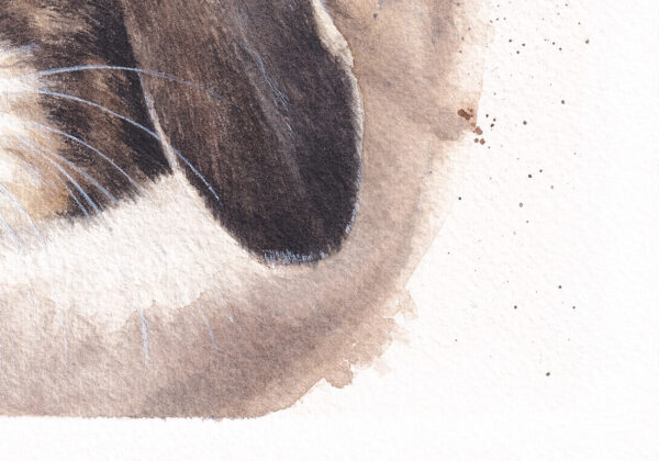 Délicate Attention zoom Délicate Attention – Œuvre originale unique à l’aquarelle