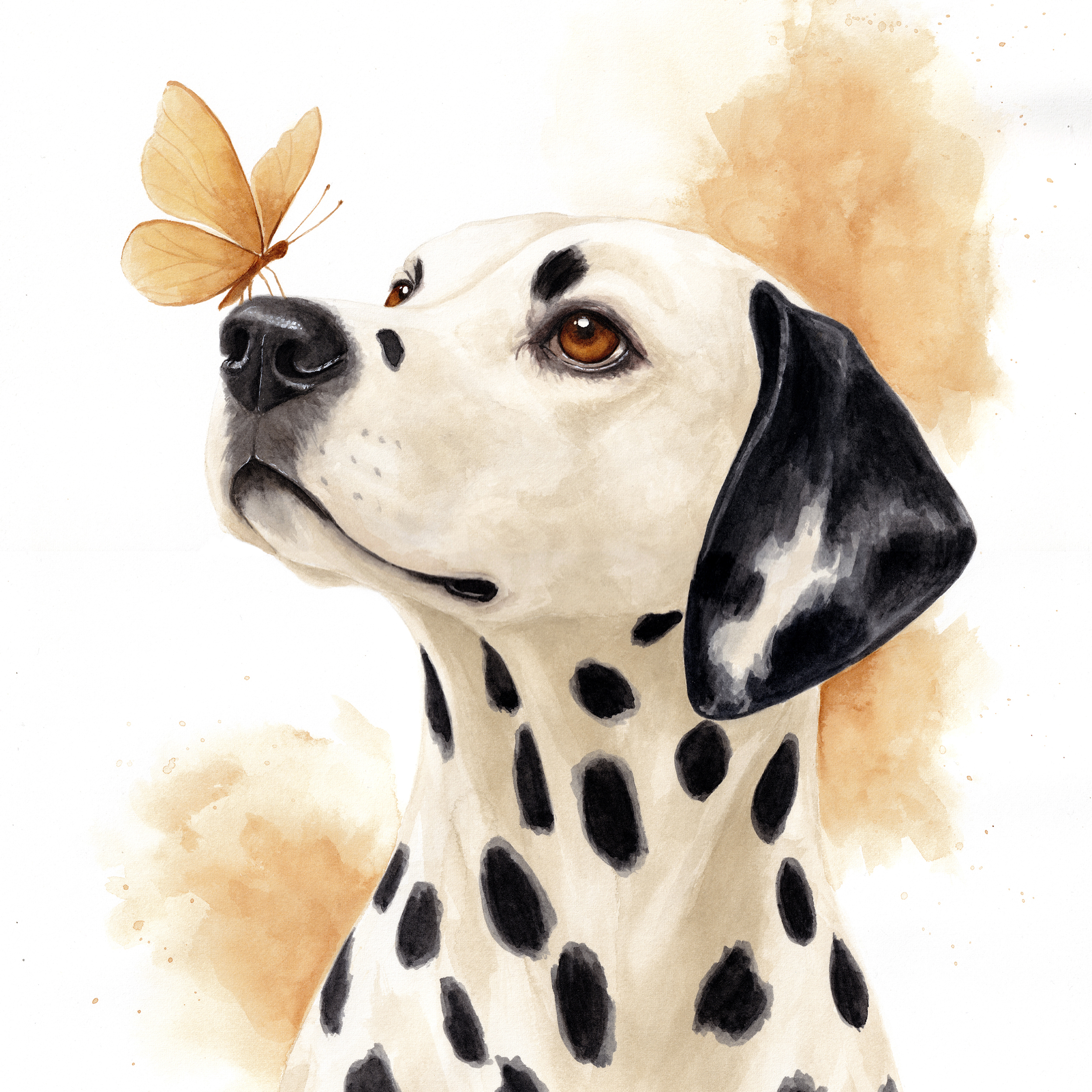 Portrait encadré d'un chien Dalmatien et d'un papillon posé sur sa truffe