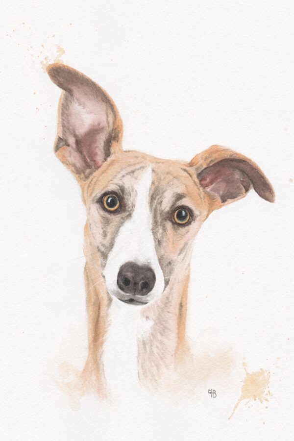 Galgo Del Sol Galgo del Sol – Œuvre originale à l’aquarelle