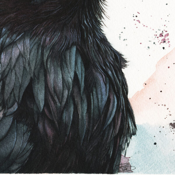 Huginn –  Œuvre originale à l’aquarelle