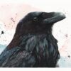 Huginn –  Œuvre originale à l’aquarelle