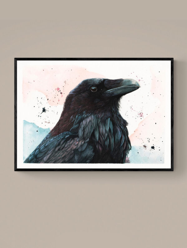 Huginn encadré Huginn, portrait de corbeau – Tirage d’art