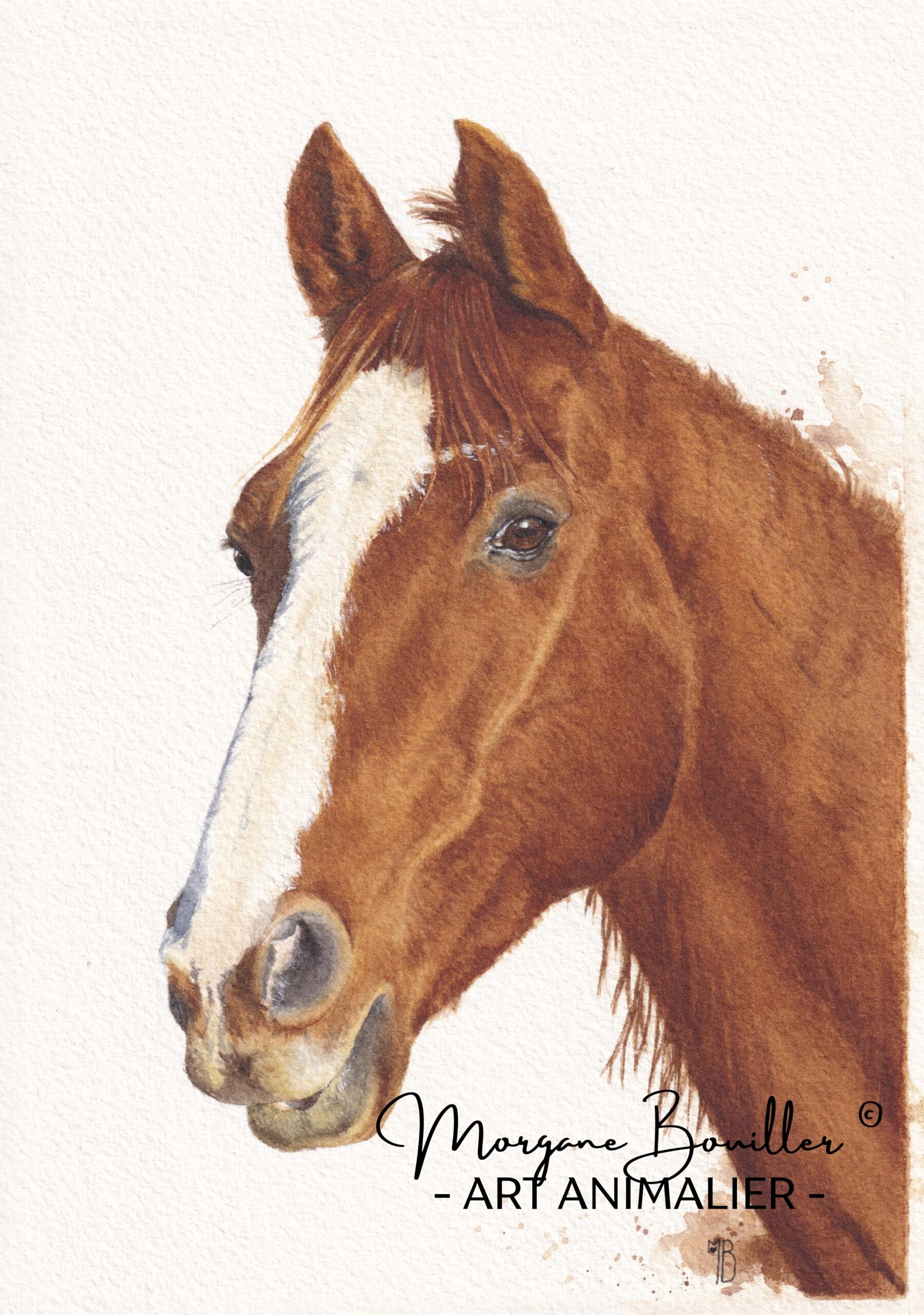 Peinture fine à l'aquarelle d'un cheval alezan