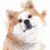 Kizuna Inu Kizuna Inu – Œuvre originale à l’aquarell