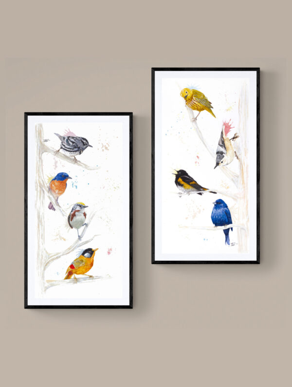 L'Appel encadré L'Appel, passereaux colorés – Tirage d'art