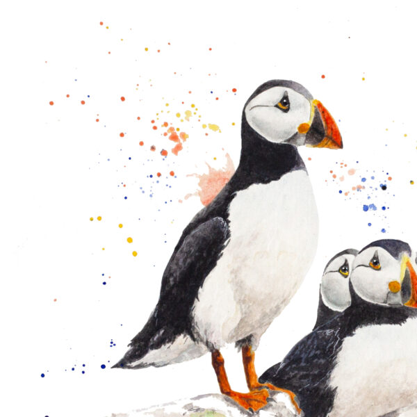 Macareux – Œuvre originale à l’aquarelle