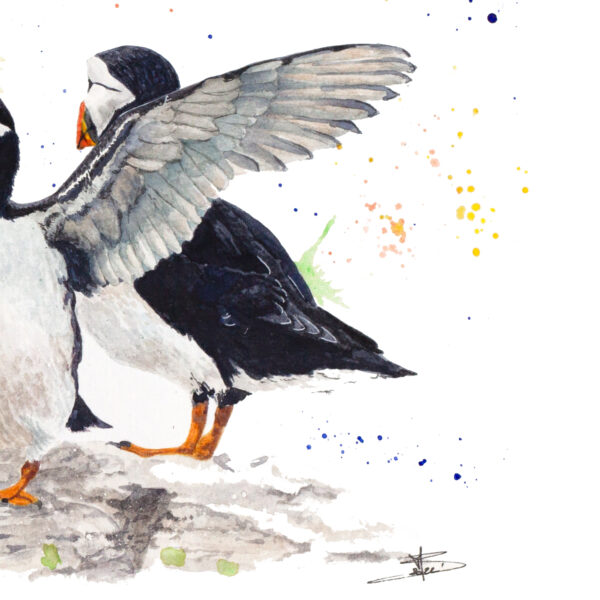 Macareux – Œuvre originale à l’aquarelle