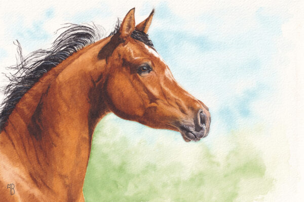 Messager du Zéphyr Messager du Zéphyr – Œuvre originale à l’aquarelle