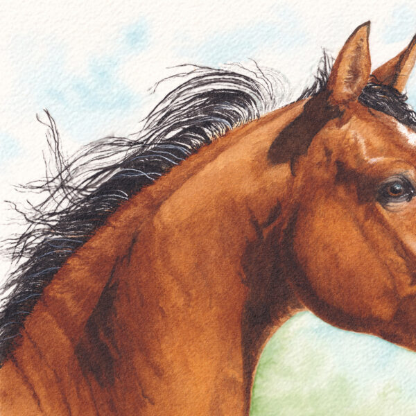 Messager du Zéphyr zoom Messager du Zéphyr – Œuvre originale à l’aquarelle