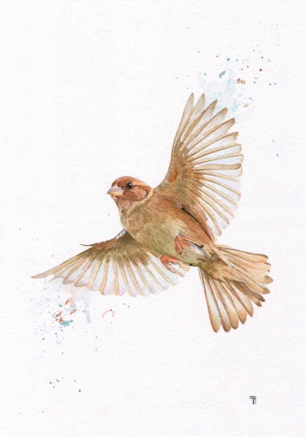 Murmure de Plumes Murmure de Plumes – Œuvre originale à l’aquarelle