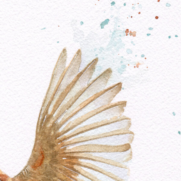 Murmure Zoom aile zoom sur une aile de moineau peinte à l'aquarelle