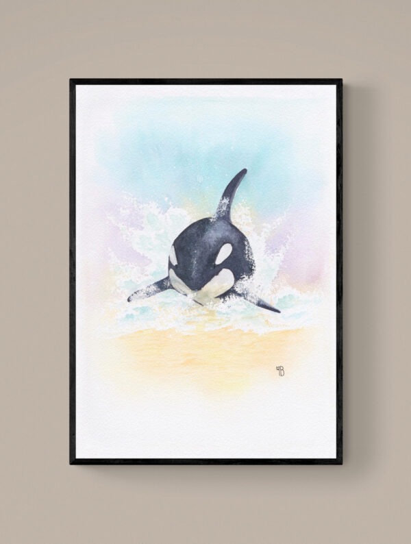 Onde de Liberté encadrée Onde de Liberté, orque – Tirage d’art