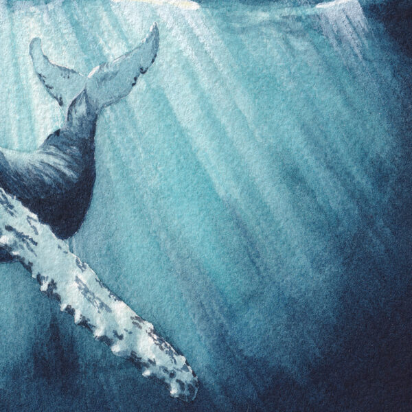 Sérénade Océane zoom Sérénade Océane – Œuvre originale à l’aquarelle