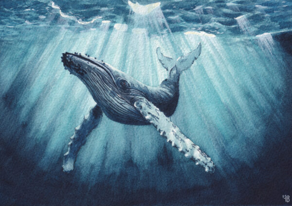 Sérénade Océane Sérénade Océane – Œuvre originale à l’aquarelle