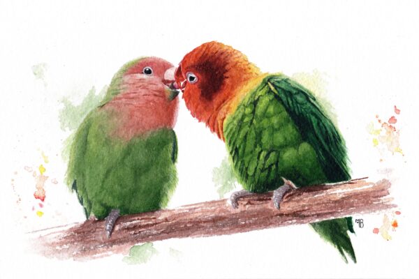 Tendre Tropique Tendre Tropique – Œuvre originale à l’aquarelle