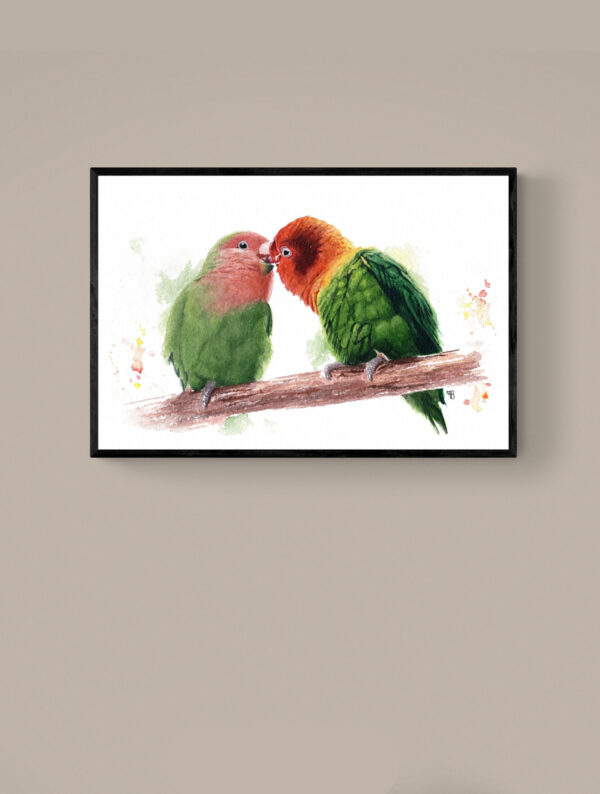 Tendre Tropique encadré Tendre Tropique, inséprables – Tirage d’art