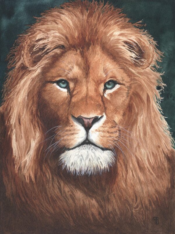 Umlilo Inkosi Umlilo Inkosi, portrait de lion peint à l'aquarelle