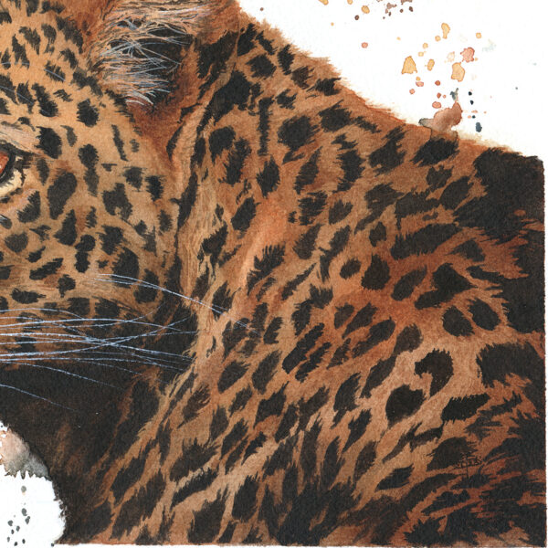 Uzuri wa savannah zoom Uzuri wa Savannah – Œuvre originale à l’aquarelle