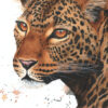 Aquarelle léopard originale, "Uzuri wa Savannah", par Morgane Bouiller