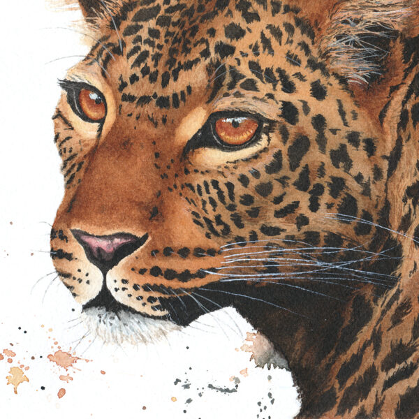 Aquarelle léopard originale, "Uzuri wa Savannah", par Morgane Bouiller