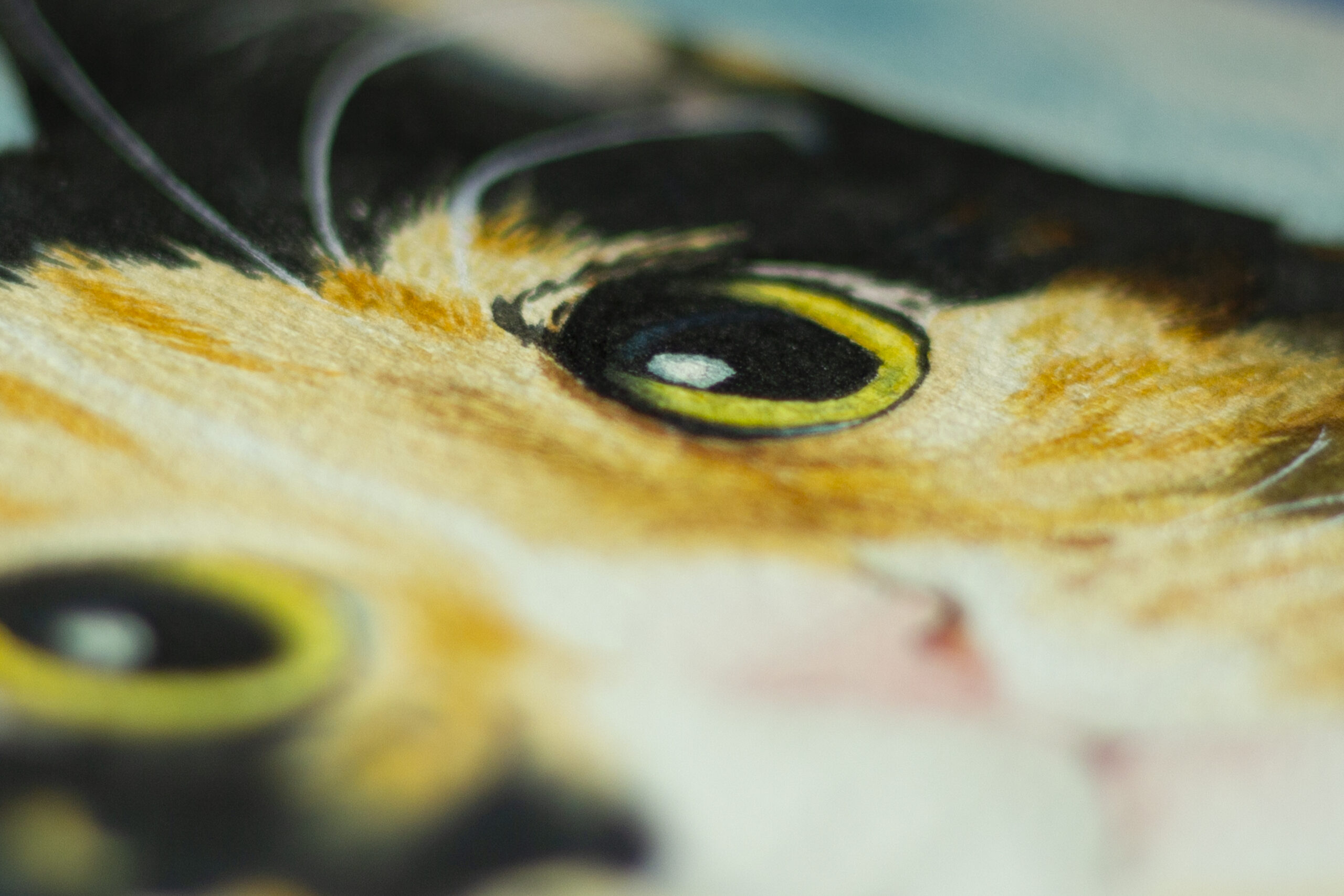 Artiste animalière engagée : peinture non toxique, matériel cruelty-free, circuits courts. Des valeurs essentielles à mon cœur.