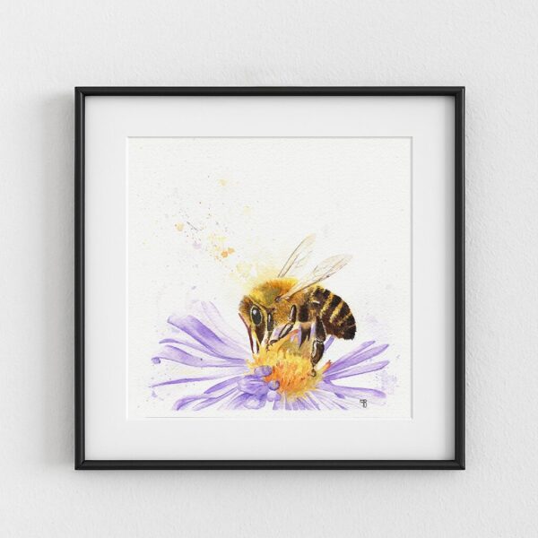 Apis Mell, peinture aquarelle d'abeille par Morgane Bouiller, exemple d'encadrement Peinture d'abeille, exemple d'encadrement