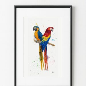 Couple d'oiseaux Aras, exemple d'encadrement