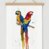 Illustration perroquets Aras avec cadre magnétique en bois naturel