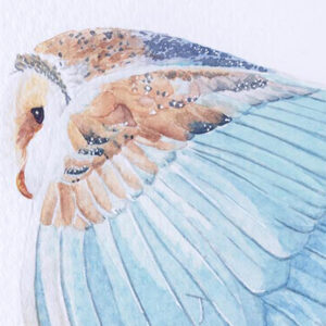 peinture de chouette