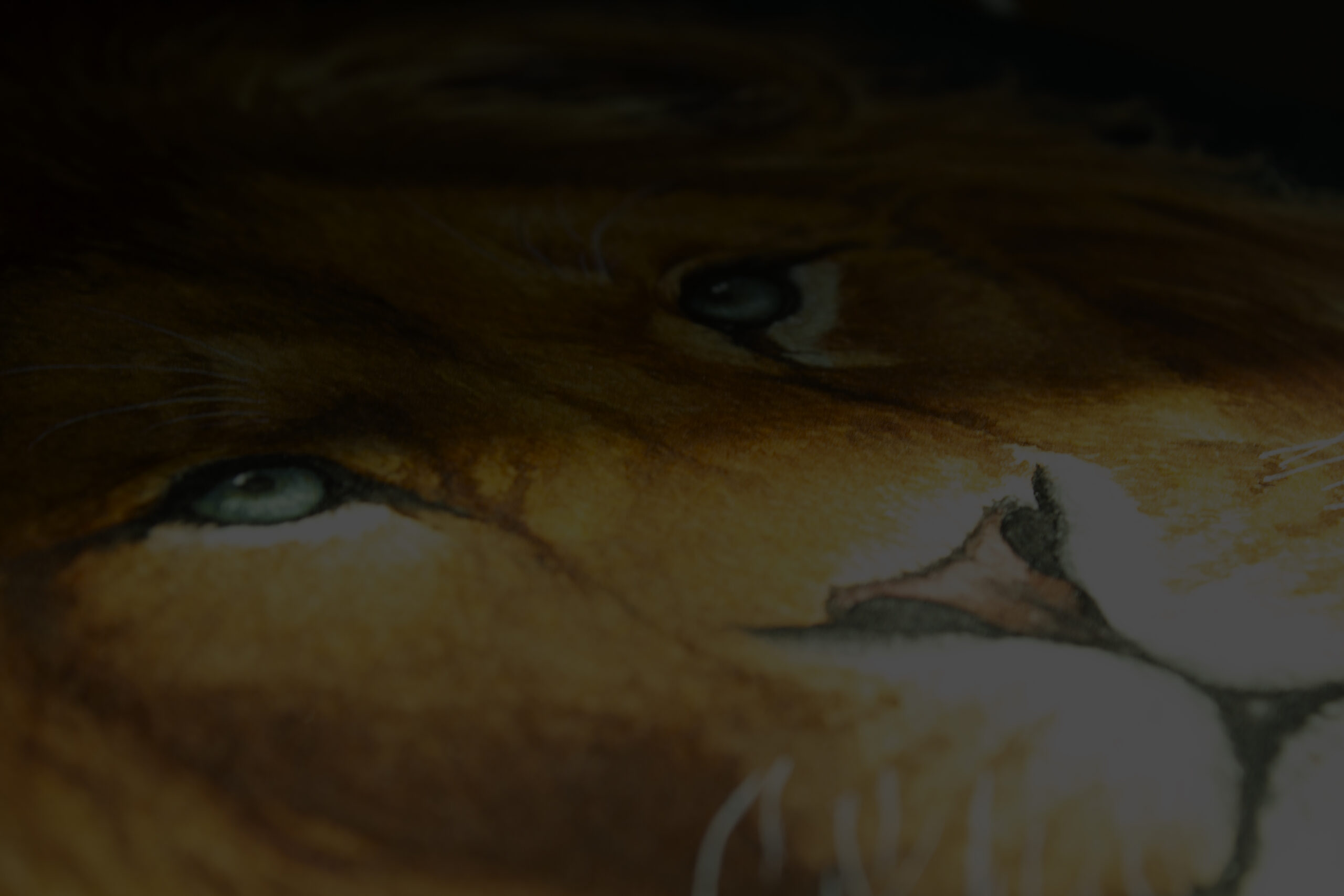 Ai No Hitomi – Œuvre originale à l’aquarelle de chat