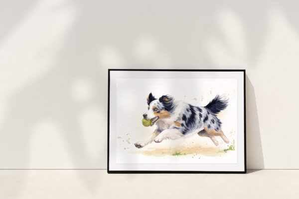 Peinture encadrée d'un chien berger australien courant avec sa balle dans la gueule