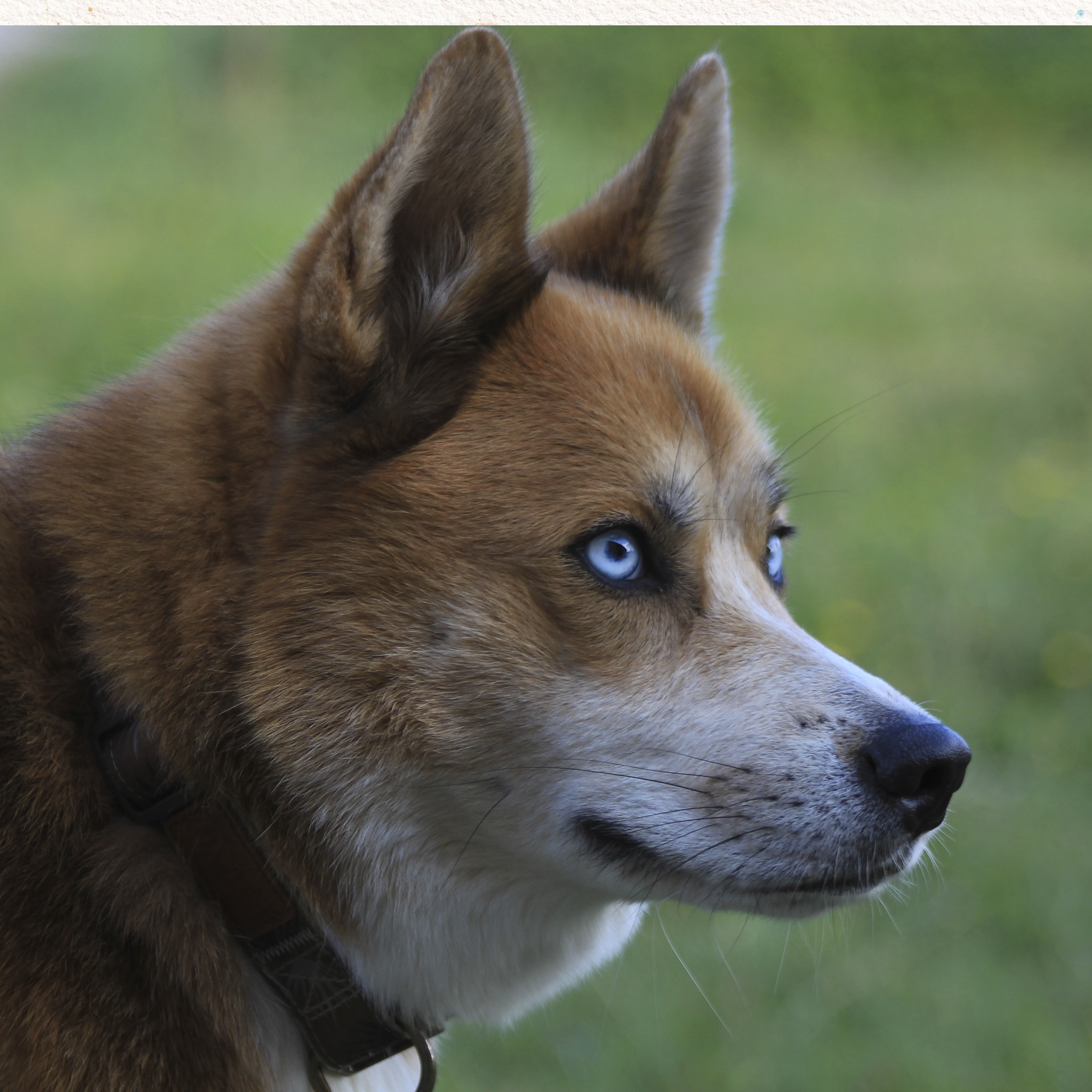 Photo de référence de Gaïa
